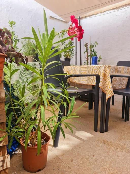 Estancia De Ensueno Y Relax Parking Gratuito Granada Buitenkant foto